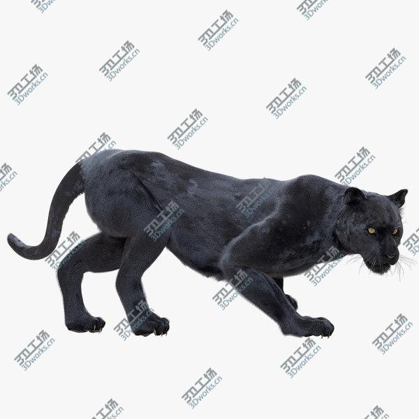 images/goods_img/20210312/Panther Fur (Rigged) 3D model/1.jpg